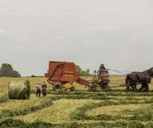 Thị trường mua bán biển số tại Việt Nam hiện tại phát triển ra sao ?